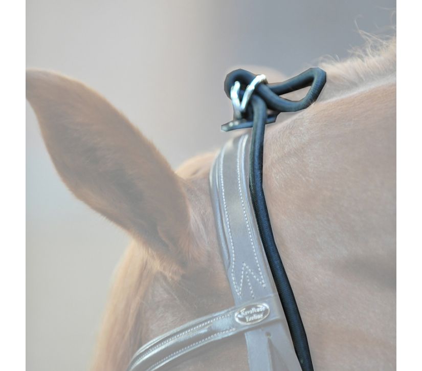 Kavalkade Neck Stretcher