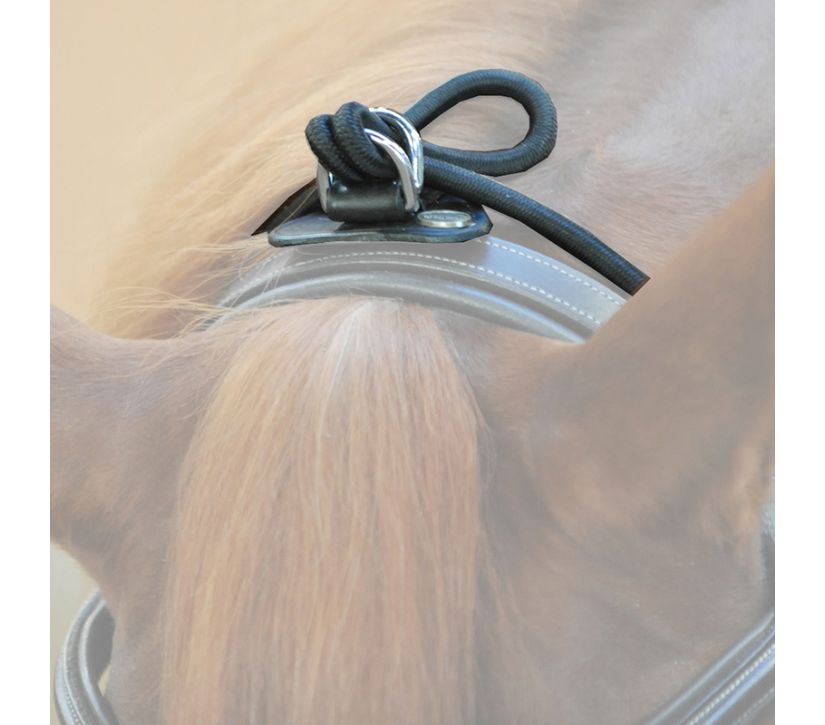 Kavalkade Neck Stretcher