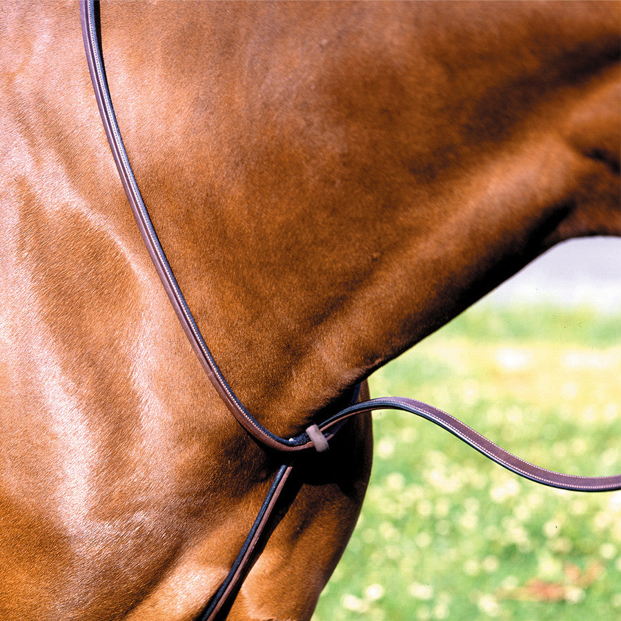 Beval Gladstone Raised Standing Martingale - The Tack Shop of Lexington