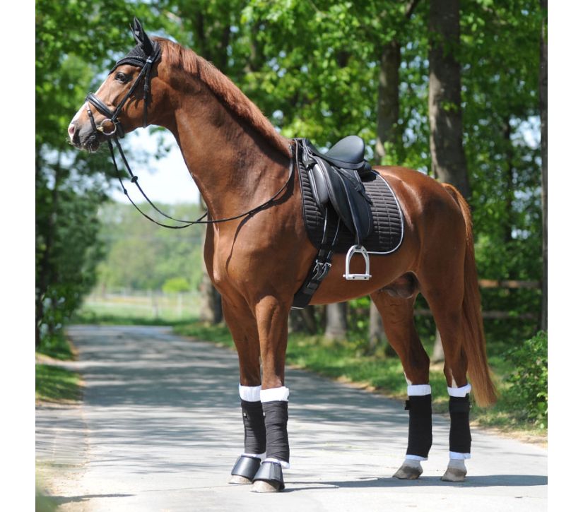 Kavalkade Easy Strass Dressage Pad