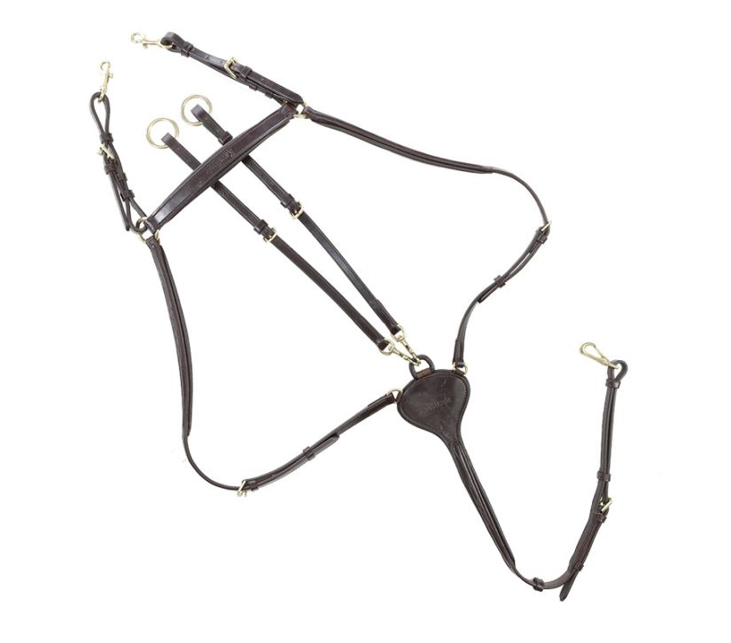 Kavalkade Lorenz 3-Point Breastplate