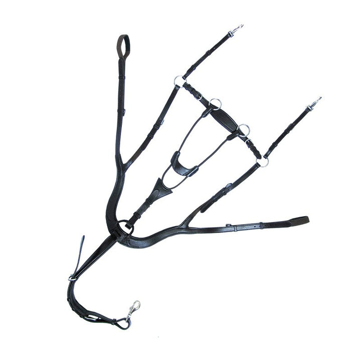 Kavalkade Caya 5 Point Breastplate