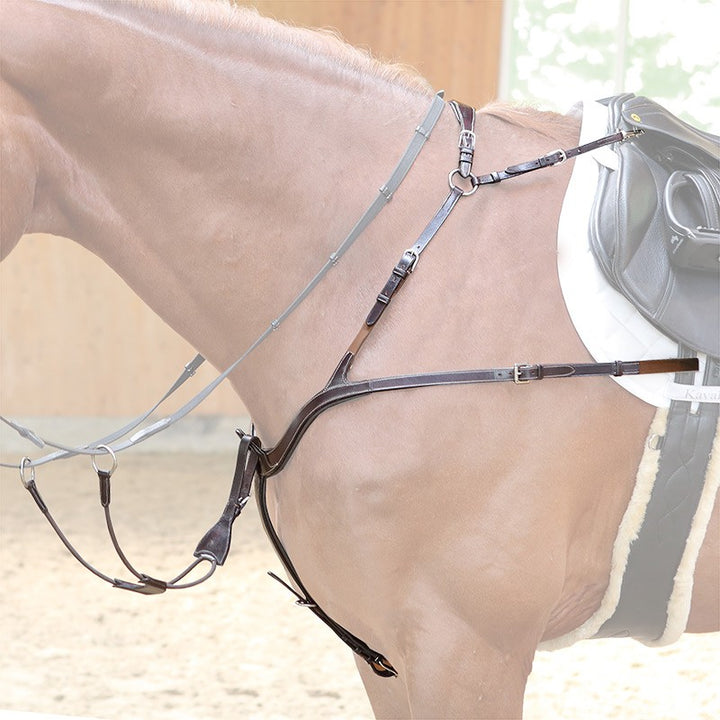 Kavalkade Caya 5 Point Breastplate