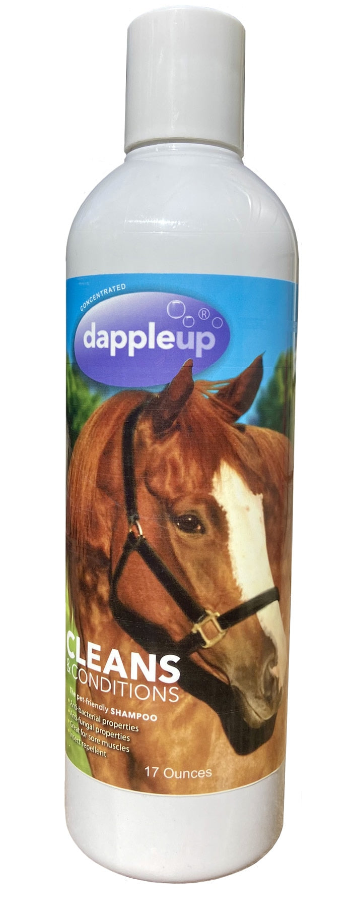Dapple Up Horse Shampoo
