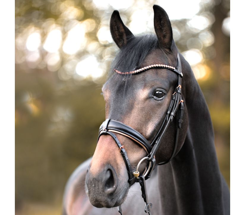 Kavalkade Rose Bridle