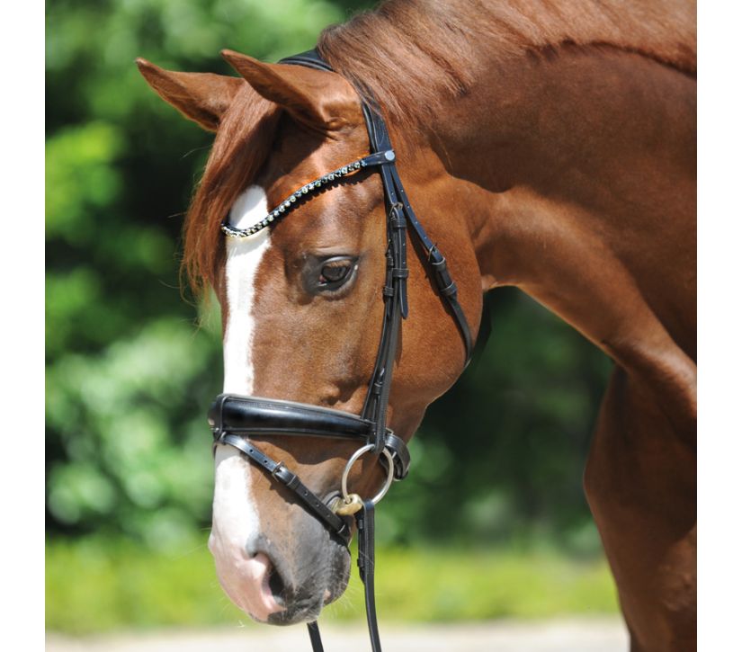 Kavalkade Grey Bridle