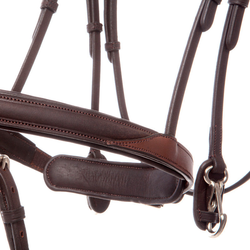 Kavalkade Everyday Bridle