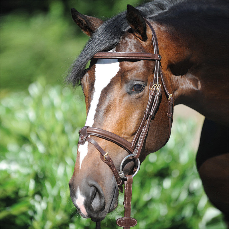 Kavalkade Lorenz Bridle Removable Flash