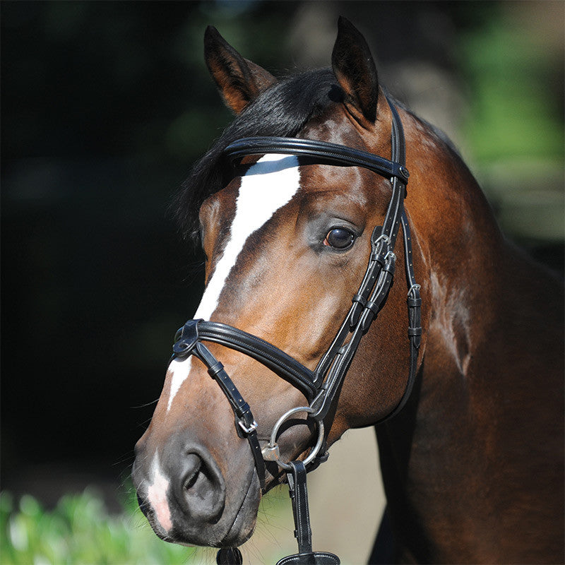 Kavalkade Lorenz Bridle Removable Flash