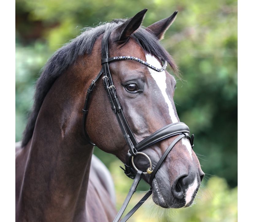 Kavalkade Ocean Dressage Bridle