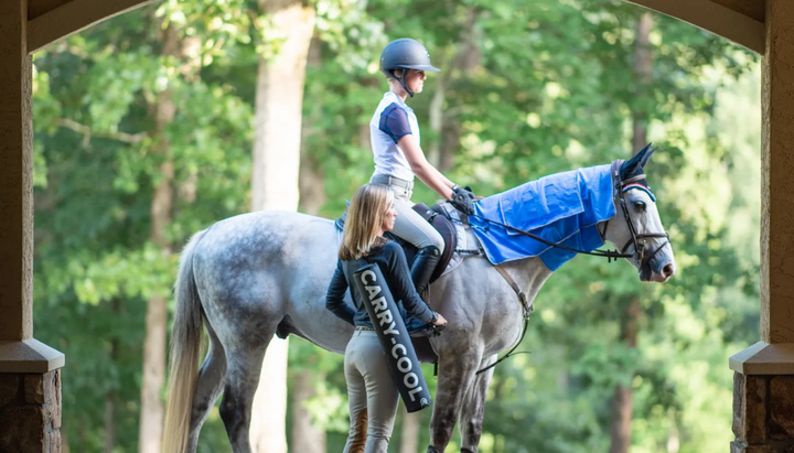 Carry Cool Sport Horse Cooling Kit
