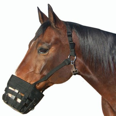 Best Friend Deluxe Grazing Muzzle - The Tack Shop of Lexington