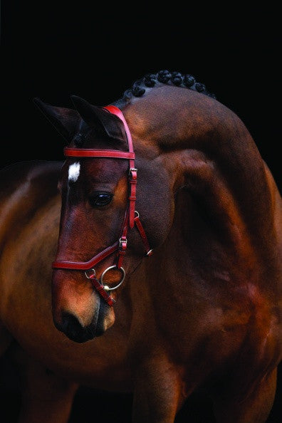 Rambo Micklem Competition Bridle - The Tack Shop of Lexington - 2