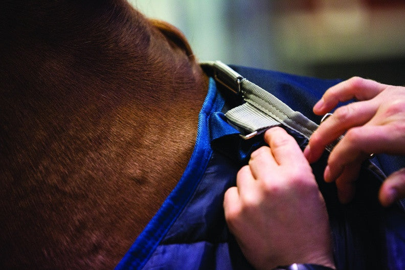 Horseware Blanket Liner - The Tack Shop of Lexington - 3