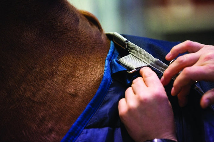 Horseware Blanket Liner - The Tack Shop of Lexington - 3