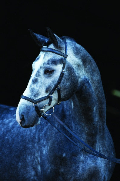 Rambo Micklem Competition Bridle - The Tack Shop of Lexington - 1