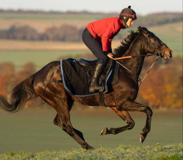 ReinRite Racing Training Aid