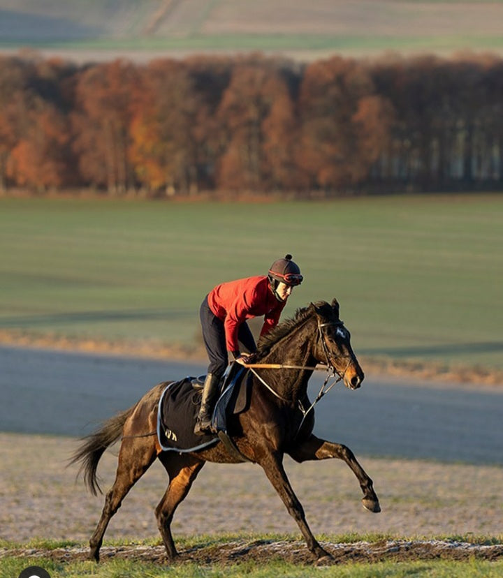 ReinRite Racing Training Aid