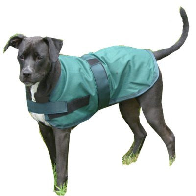 High Spirit Dog Rain Coat - The Tack Shop of Lexington - 1