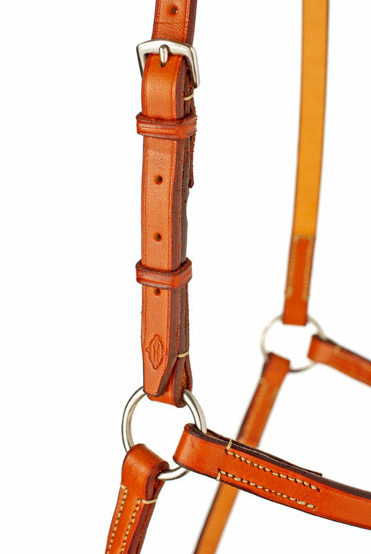 Edgewood Fancy Raised Figure 8 Noseband - The Tack Shop of Lexington - 3