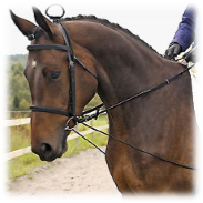 Walsh Neck Stretcher - The Tack Shop of Lexington