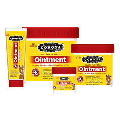 Corona Ointment - The Tack Shop of Lexington