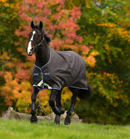 Amigo Bravo 12 Original Turnout Blanket, Pony Size, Lite Weight (0g Fill)