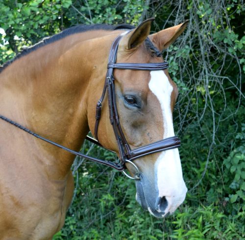 Red Barn Ocala Bridle