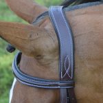 Black Oak Laurel Bridle