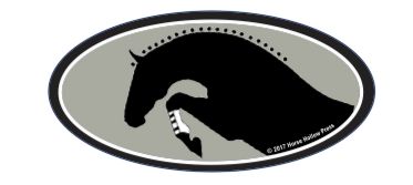 Cell Phone, Helmet, Laptop Sticker