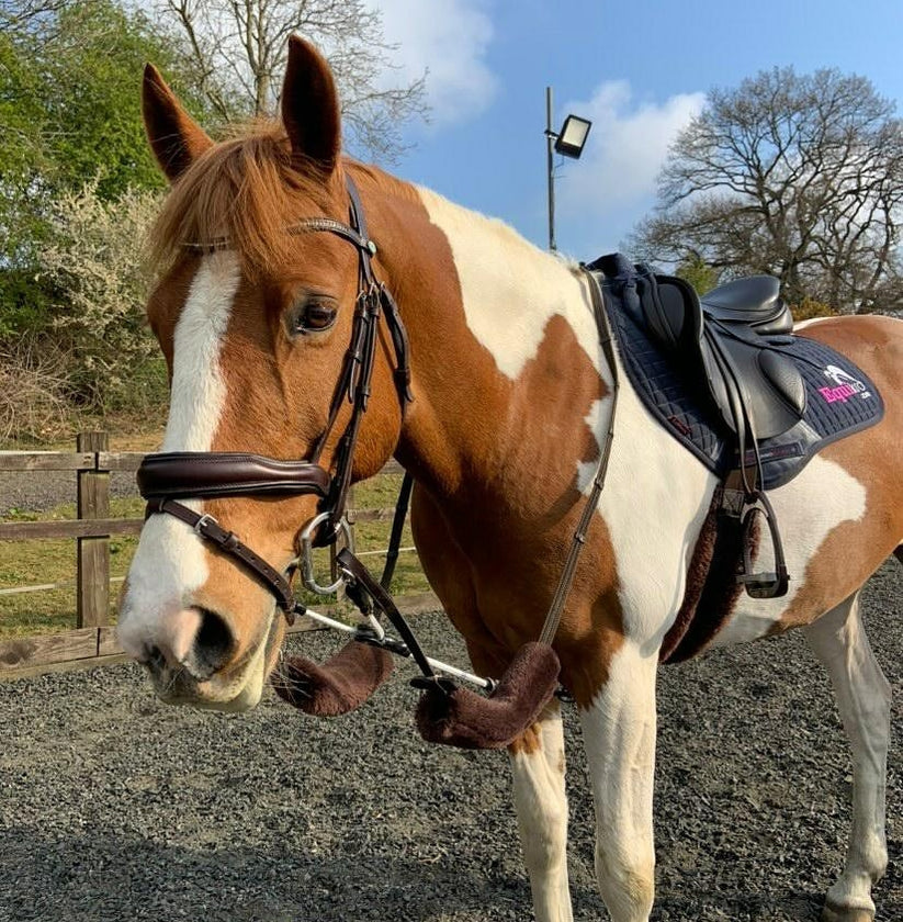 Rein Rite Rein Rite Pony Training Aid – The Tack Shop of Lexington