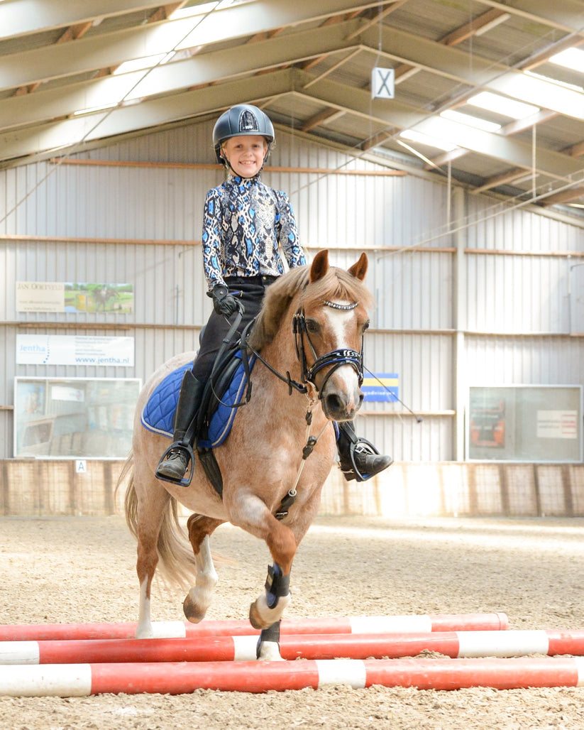 Rein Rite Rein Rite Pony Training Aid – The Tack Shop of Lexington