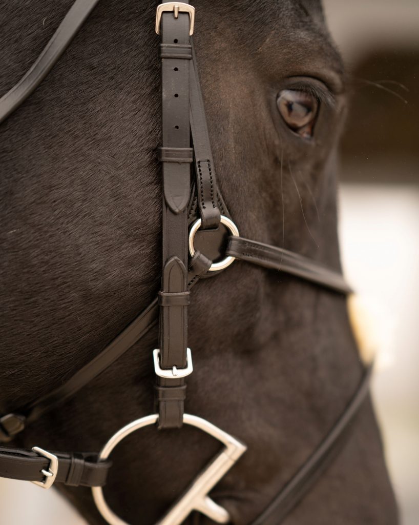 Black Oak Birch Figure 8 Bridle