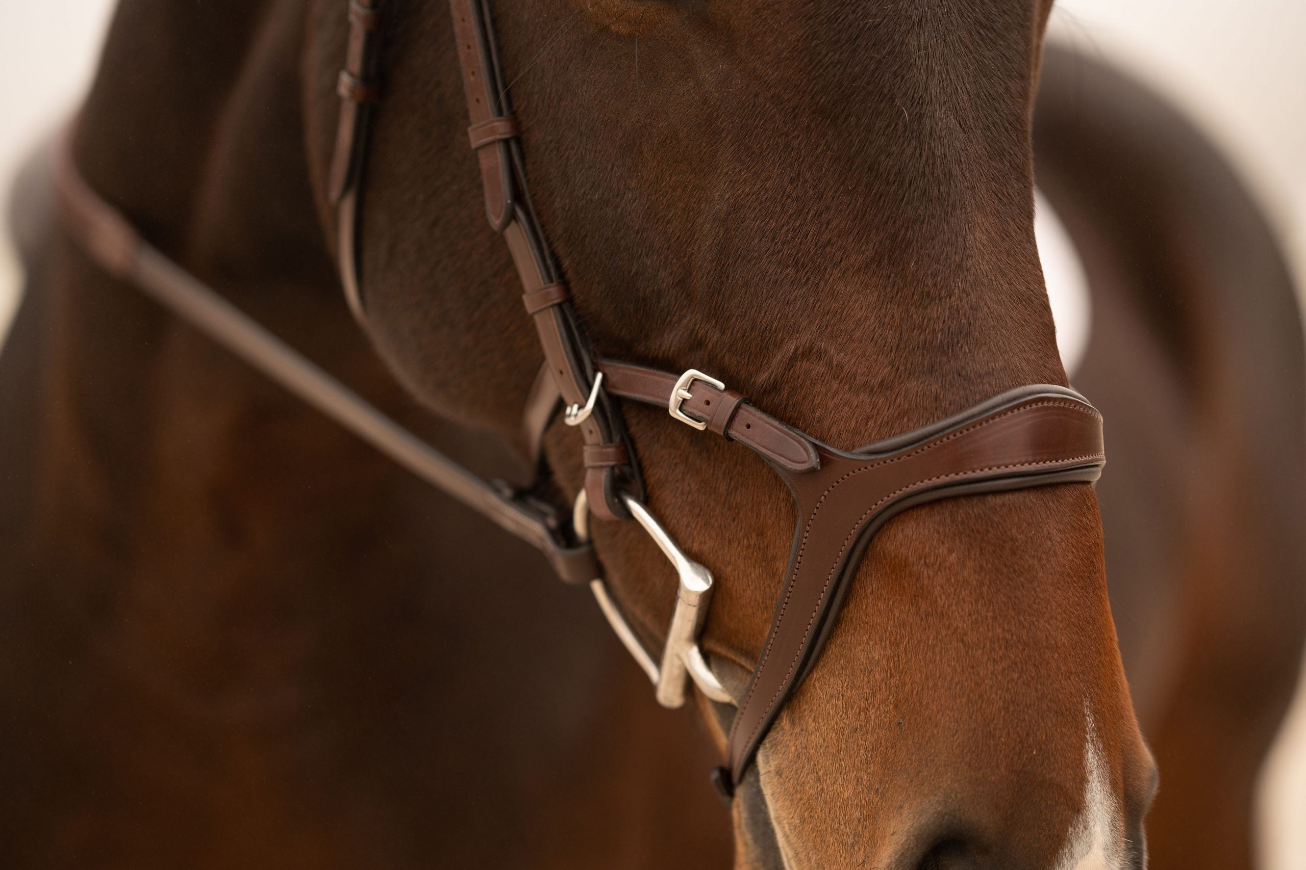 KL Select Tucson Bridle