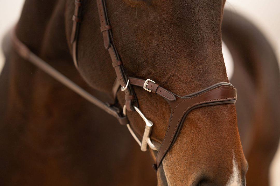 KL Select Tucson Bridle