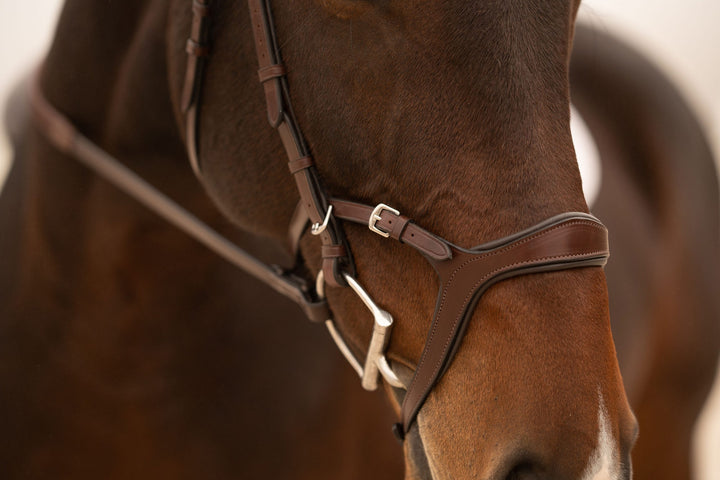 KL Select Tucson Bridle