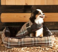 Kensington Insulated Dog Coat - The Tack Shop of Lexington