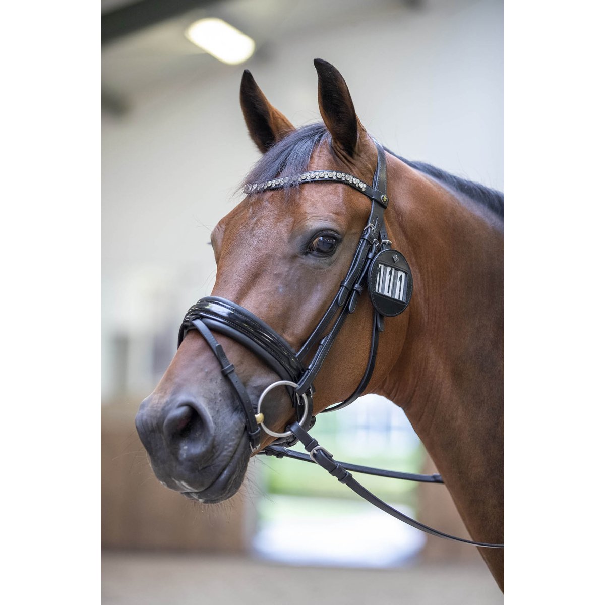 LeMieux Bridle Number Holder