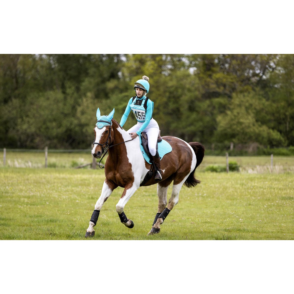 LeMieux Eventing Bib