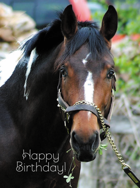 Clover Happy Birthday Card