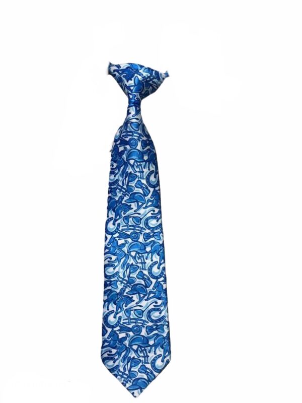 Belle & Bow Boys Neck Tie