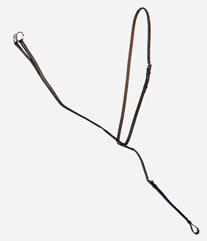 Arion Running Martingale
