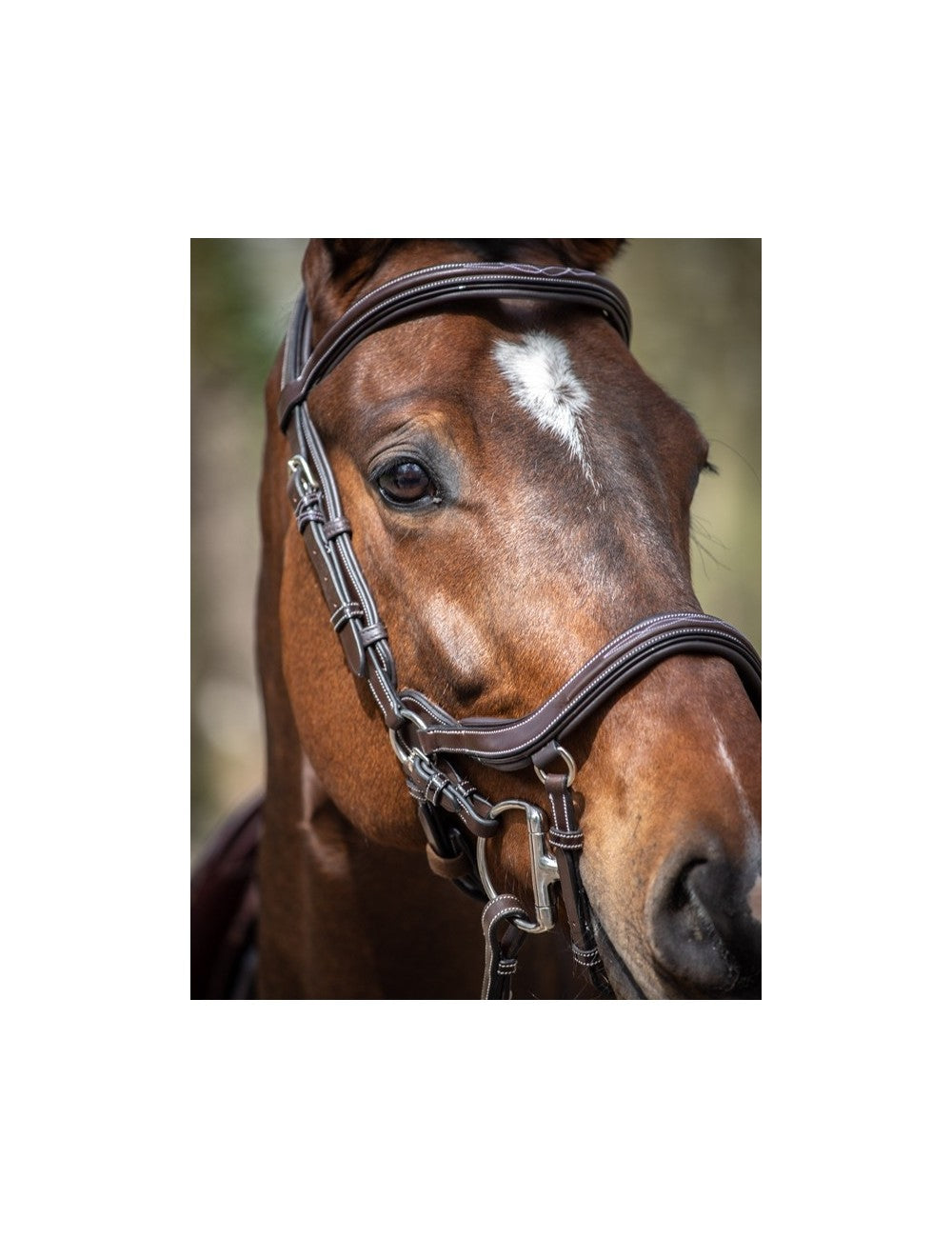 Jump'In Week Summer Bridle