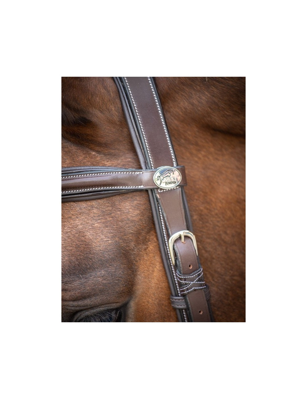 Jump'In Week Summer Bridle