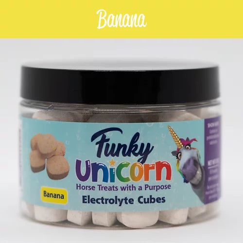 Funky Unicorn Flavored Electrolyte Treats
