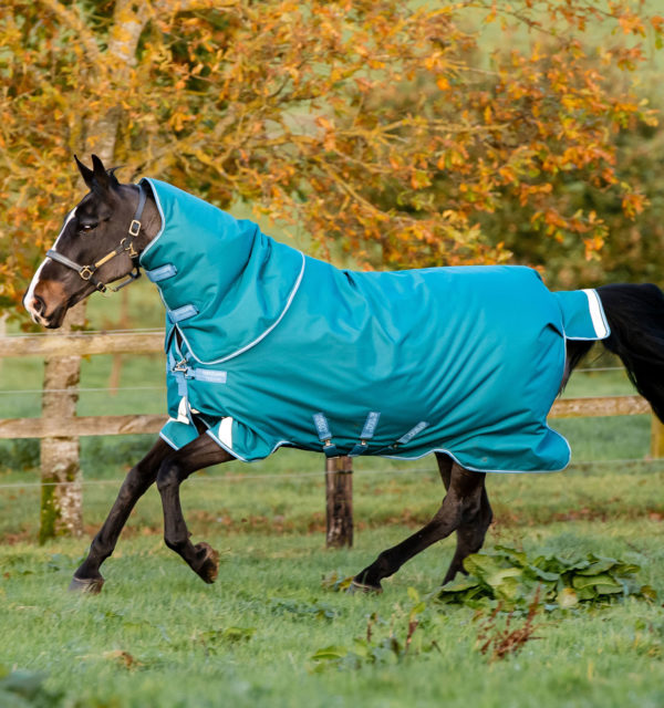 Amigo Bravo 12 Plus Turnout Blanket with Detachable Hood, Heavy Weight (400g Fill)