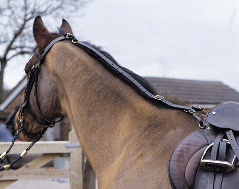 Shires Leather Daisy Rein - The Tack Shop of Lexington