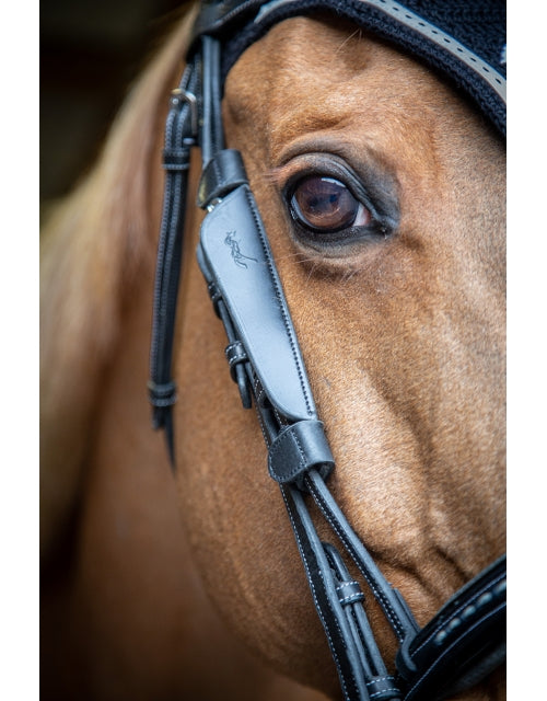 Penelope Australian Blinkers