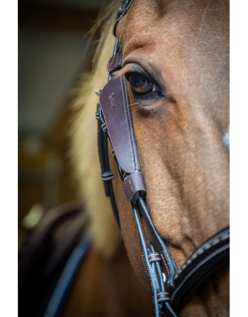 Penelope Australian Blinkers