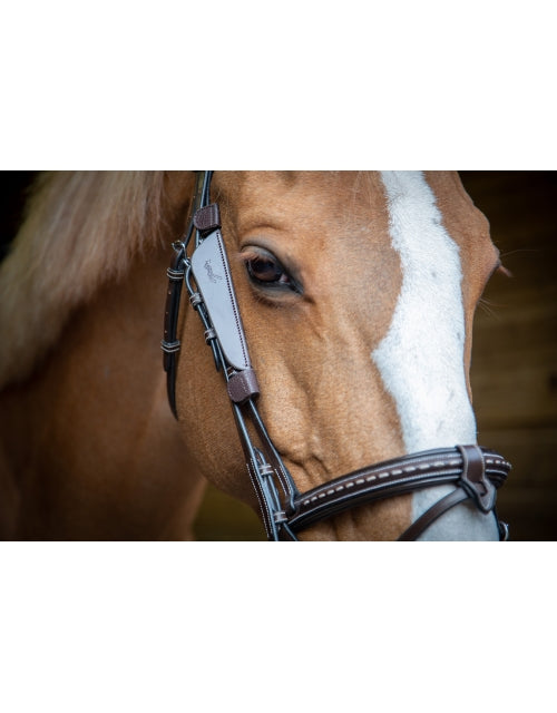 Penelope Australian Blinkers